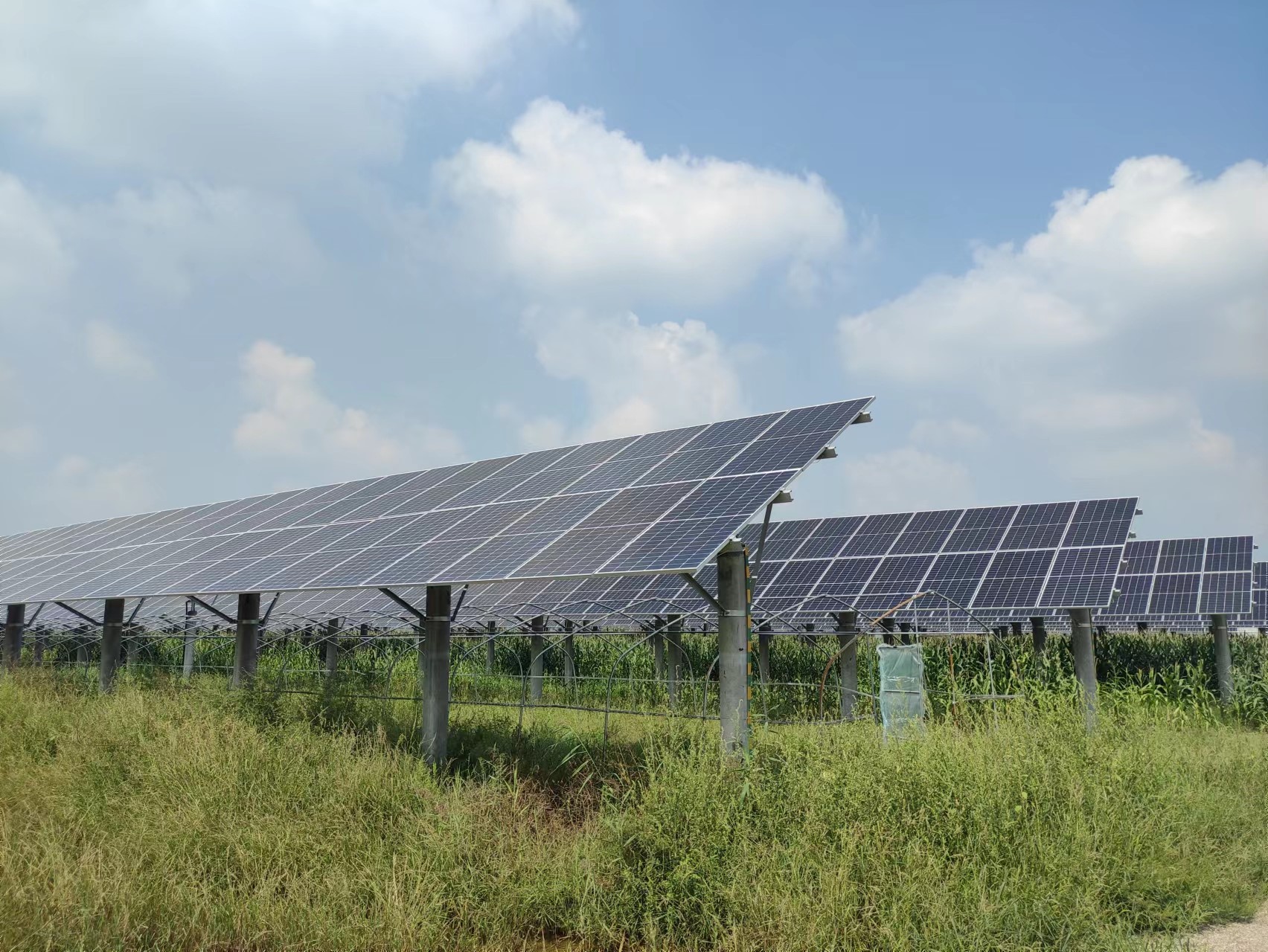 й8827̫(ɷ)޹˾-ٷվ